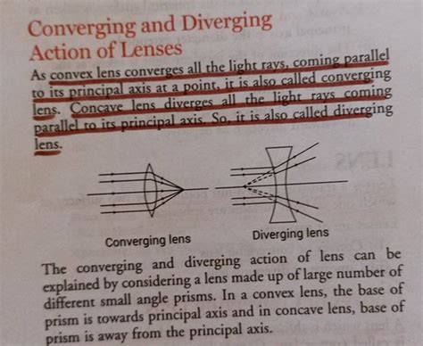 Converging And Diverging Action Of Lenses As Convex Lens Converges All Th