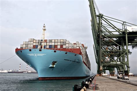 Maersk To Test Ship To Ship Ammonia Bunkering Resilience In Singapore