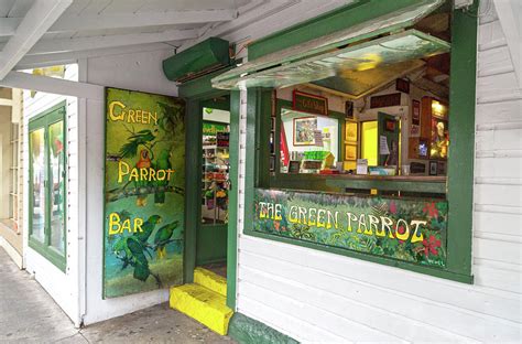 Green Parrot Bar Oh The Tales And Stories Photograph By Betsy Knapp