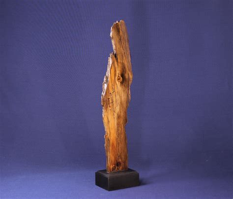 22025 Natural Wood Sculpture Forest Sculpture Driftwood Sculpture