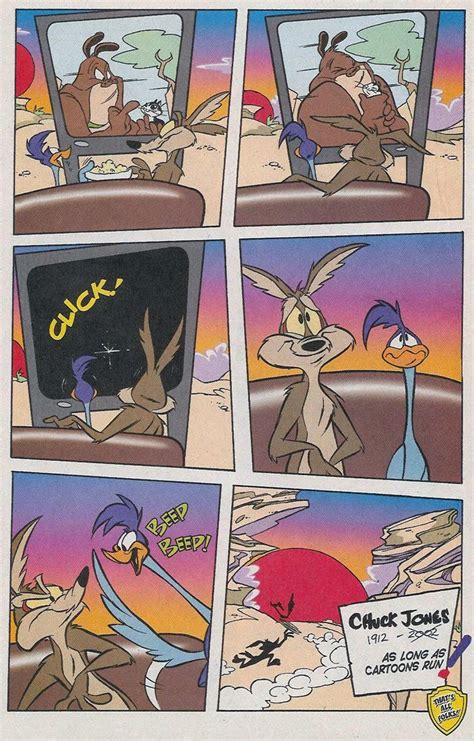 road runner road runner and wile e coyote photo 37963204 fanpop