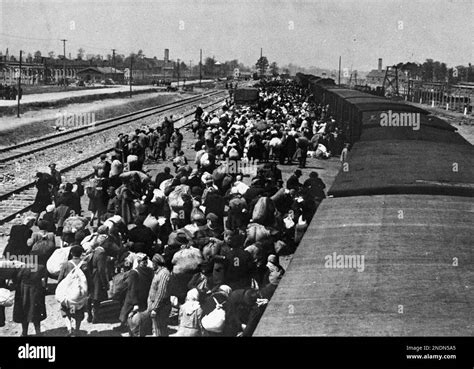 Carpathian Ruthenian Jews Arrive At Auschwitzbirkenau May 1944 Most Were Murdered In Gas