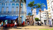 Visit Campinas: Best of Campinas Tourism | Expedia Travel Guide
