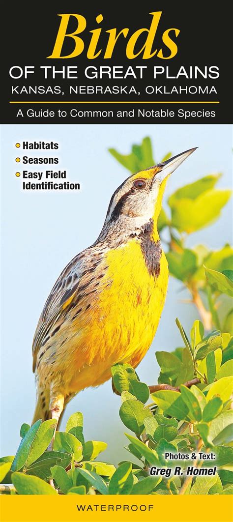 Birds Of The Great Plains Kansas Nebraska And Oklahoma A Guide To