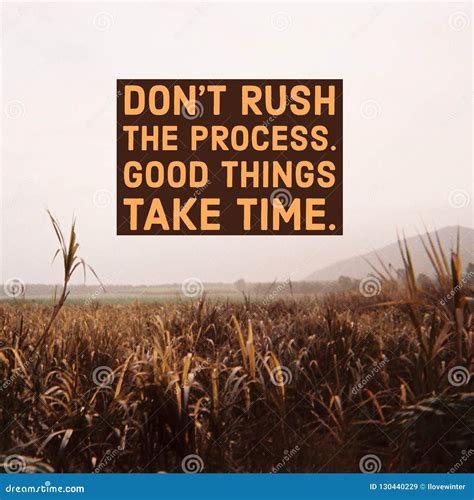 Inspirational Motivational Quote Don T Rush The Process Good Things