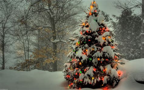 Pin By Henry J Pisegna On ☃ Dreaming Of Snow ☃ Snowy Christmas Tree