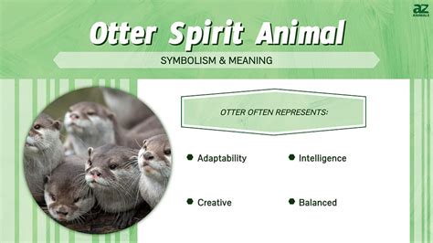 Otter Spirit Animal Symbolism And Meaning A Z Animals