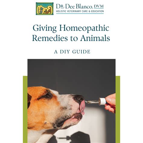 How To Dose Your Animals With A Homeopathic Remedy
