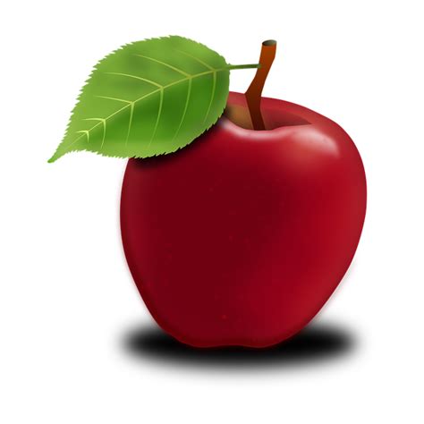 Apple Tree Fruits - Free image on Pixabay