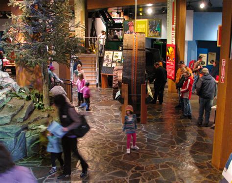Our Museum World Forestry Center