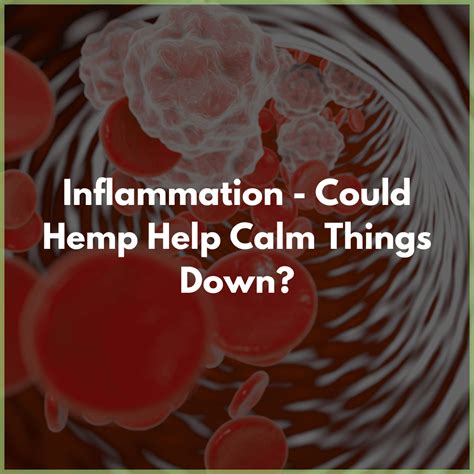 Inflammation Could Hemp Help Calm Things Down