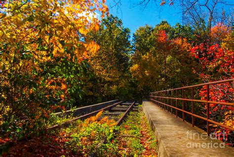 Fall Abandoned Train Tracks Photograph By Alicia Heaney Fine Art America