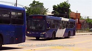 Transantiago 206 | Caio Mondego L - Volvo B7R LE (Santa Rosa) - YouTube