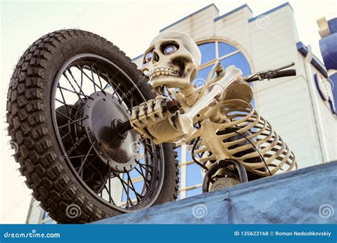 Moto Skeleton Sculpture On Motorbike Area Motorcycle Skeleton On