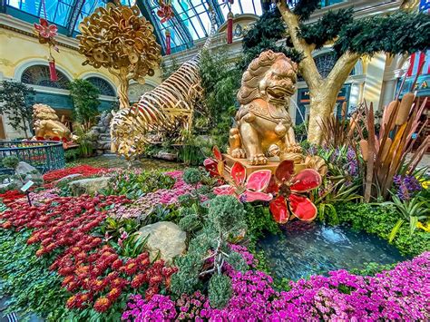 Bellagio Conservatory And Botanical Gardens 2022 Schedule Feeling
