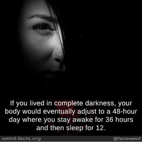 If You Lived In Complete Darkness Your Body Would Eventually Adjust To