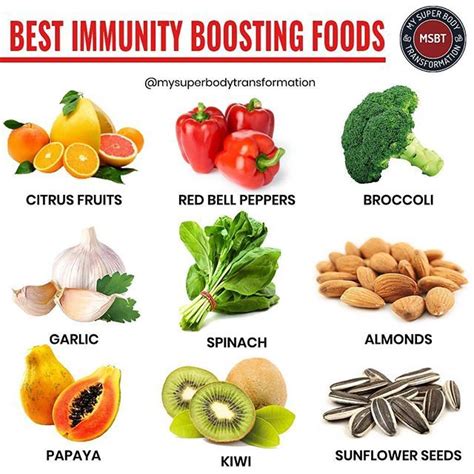 They will help your pet combat this disease and strengthen the. Best Immunity Boosting Foods Feeding your body certain ...