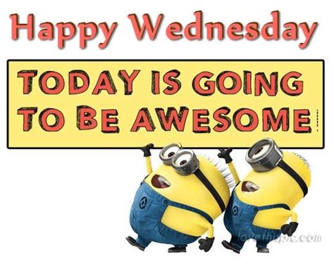 Happy Wednesday Today Is Going To Be Awesome Pictures Photos And