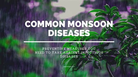 most common monsoon diseases and their prevention