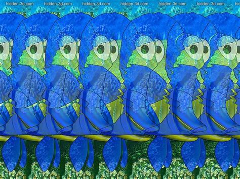 Stereogram By 3dimka Fish Cross Eyed Tags Crosseyed Fish Ocean