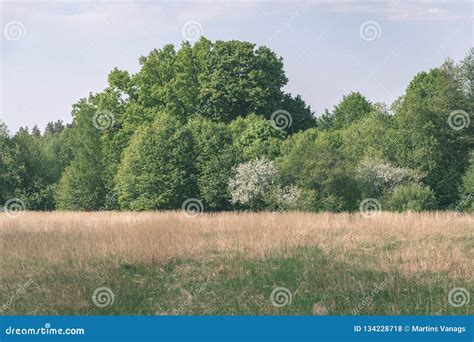 Plain Simple Countryside Spring Landscape With Fresh Green Meadows And