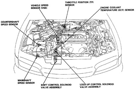 Wiring Diagram For 2000 Honda Accord