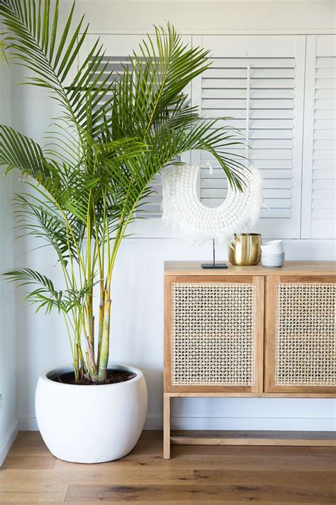 11 Tropical Home Decor Ideas For A Breezy Coastal Vibe