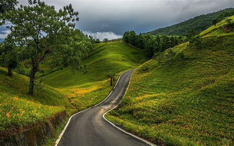 Landscape Road Trees Nature Grass Field Hill Forest