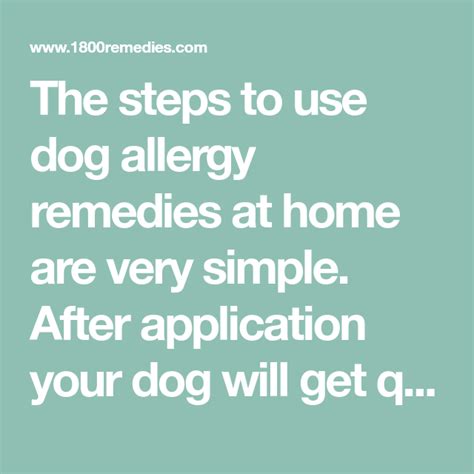 Dog Allergy Remedies Dog Allergies Remedies Allergy Remedies Dog