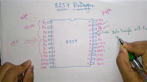 8254 Pin Diagram 8254 Programmable Interval Timer Youtube