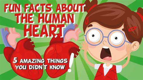 The Human Heart Amazing Fun Facts Educational Videos For Kids In