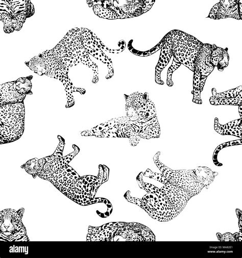 Seamless Pattern Of Hand Drawn Sketch Style Leopards Isolated On White