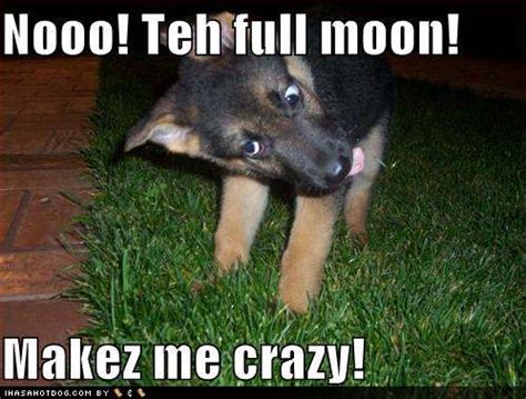 Crazy funny full moon quotes. Full Moon Crazy Quotes. QuotesGram