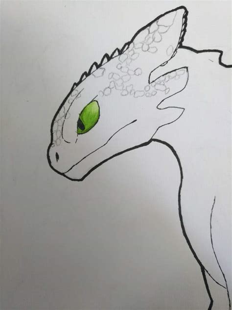 Desenho Banguela Como Treinar O Seu Dragão™ Amino