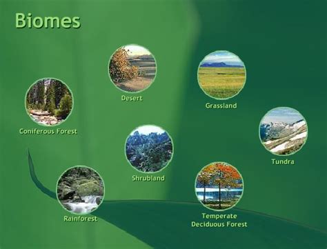 Seven Types Of Biomes With Images Learning Sites Biomes