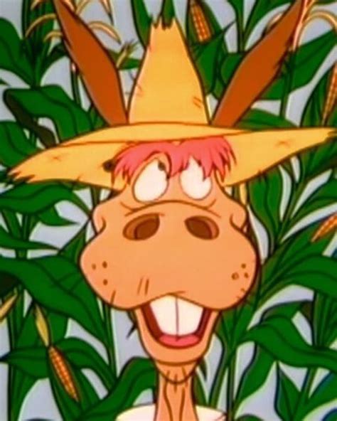 Hee Haw Pickin And Grinnin Rudy The Donkey More 70s Cartoons