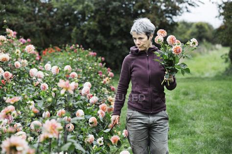 Woman Picking Flowers Hobby Oxfordshire Stock Photo 128227378