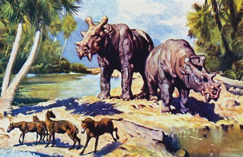 Photos Eocenni North America Landscape Animals Ancient Animals