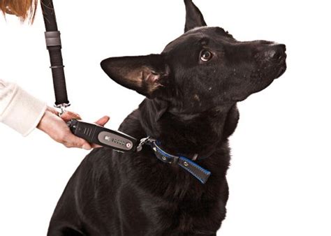 Tug Preventing Dog Trainer Invented4you