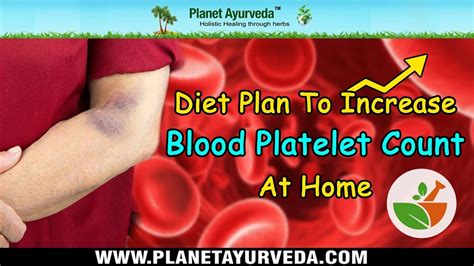 Diet Plan To Increase Blood Platelet Count At Home Youtube