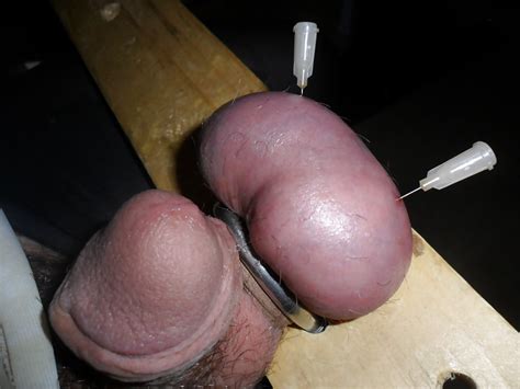 Needle Castration Pics Xhamster Sexiezpix Web Porn