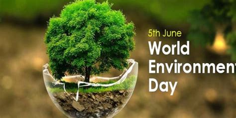 St Kitts And Nevis Observes World Environment Day 2021 Under The