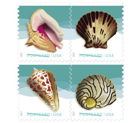 Seashells Postcard Stamp
