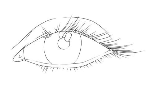 Eye Drawing Line Art Martina Vanwinkle