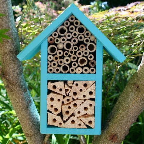 Maybe you would like to learn more about one of these? Building Insect Hotels for Leafcutter and Mason Bees