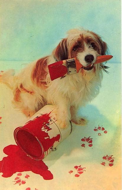 Vintage Dog Postcard Stocklist Paperblog