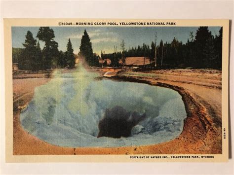 Morning Glory Pool Yellowstone National Park Wyoming Wy Postcard Haynes 1934 Ebay