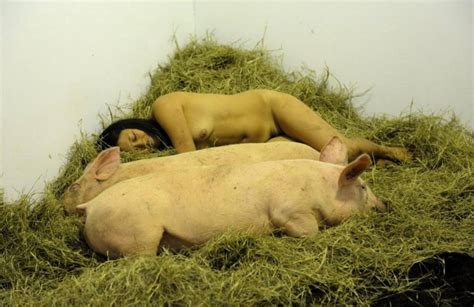 Erotic Xxx Pigs Nude Picture