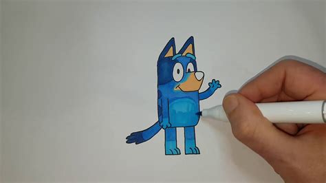 Drawing Bluey Youtube
