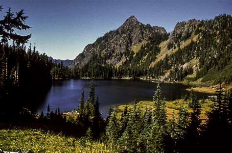 Scenery From Olympic National Park In Washington Image